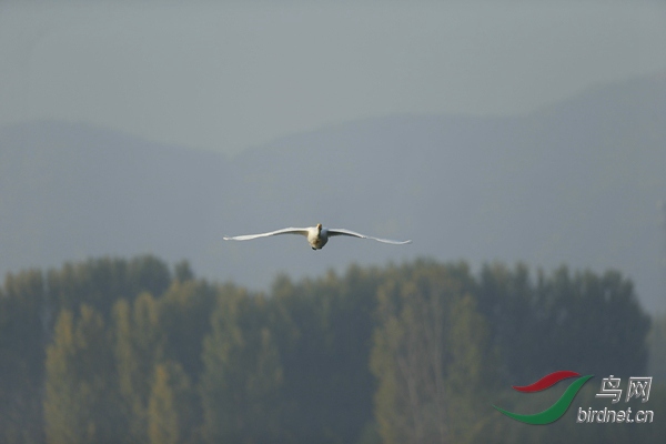 _E8J0565.jpg