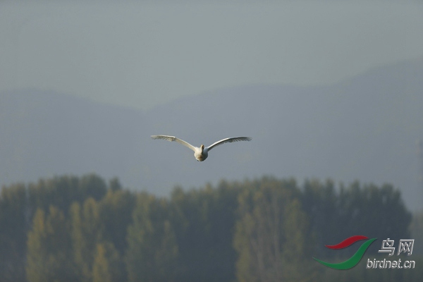 _E8J0567.jpg