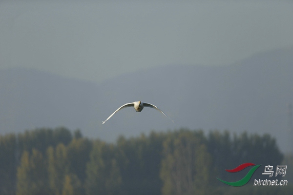 _E8J0569.jpg