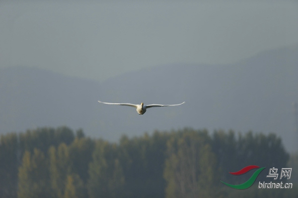 _E8J0568.jpg