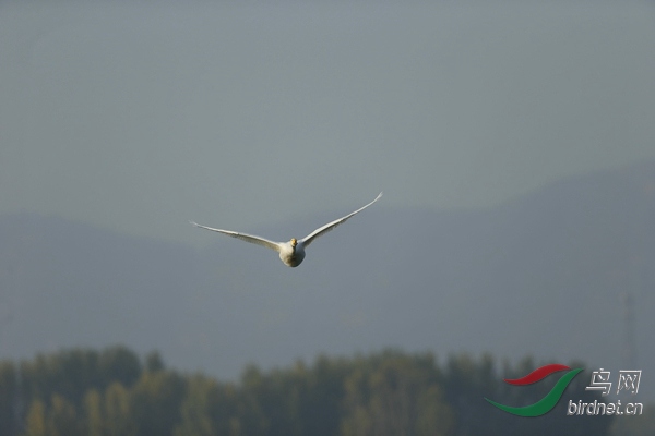 _E8J0577.jpg