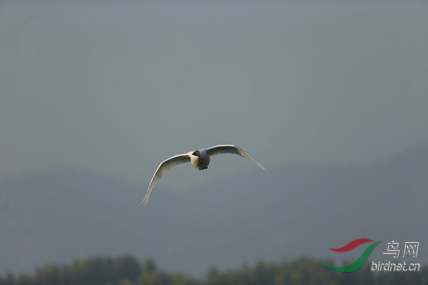 _E8J0579.jpg