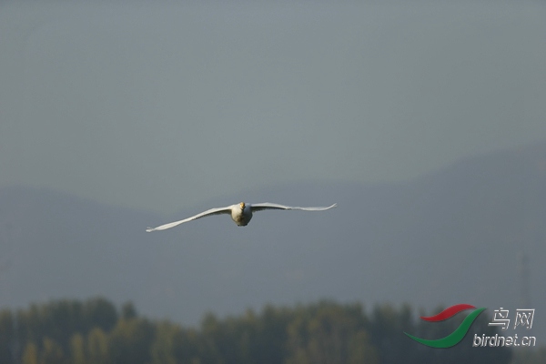 _E8J0578.jpg