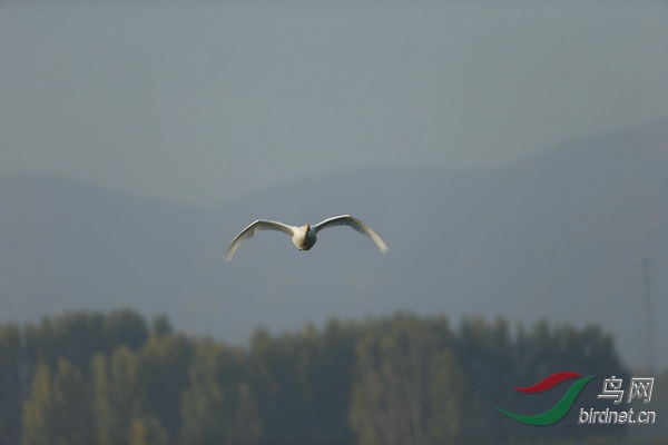 _E8J0573.jpg