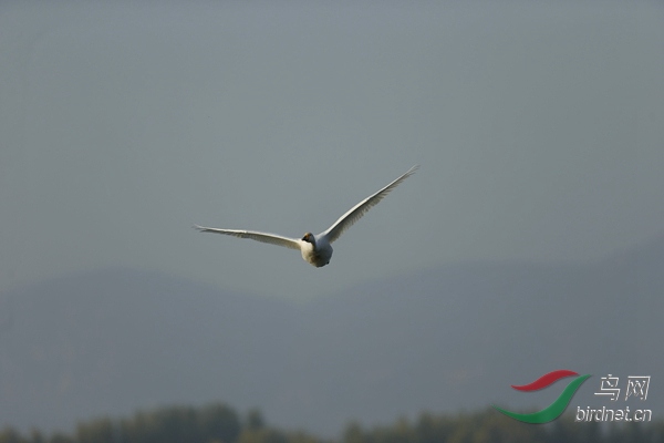 _E8J0580.jpg