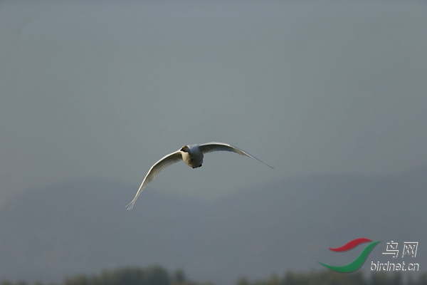 _E8J0582.jpg