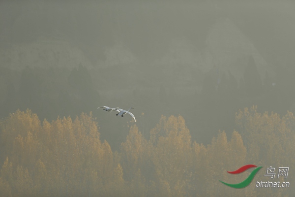 _E8J0588.jpg
