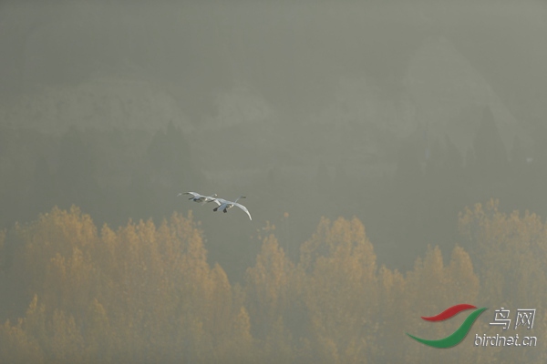 _E8J0587.jpg