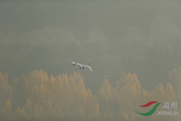 _E8J0586.jpg