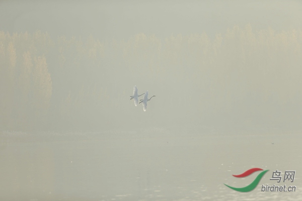 _E8J0600.jpg