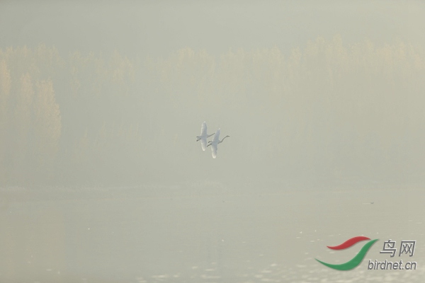_E8J0601.jpg