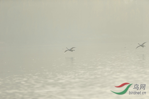 _E8J0615.jpg