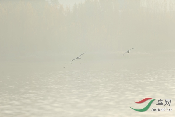 _E8J0611.jpg