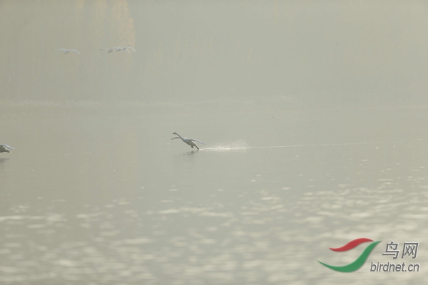 _E8J0617.jpg