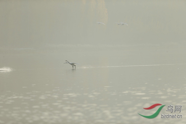 _E8J0622.jpg