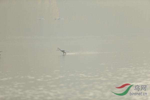 _E8J0619.jpg