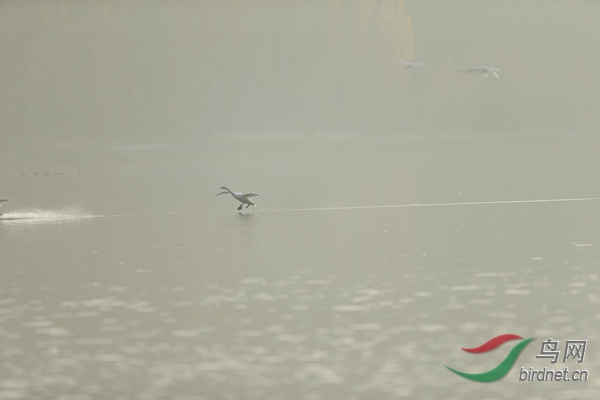 _E8J0624.jpg