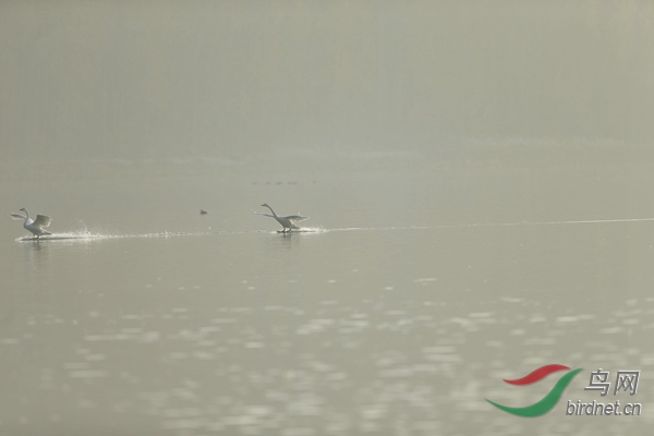 _E8J0631.jpg