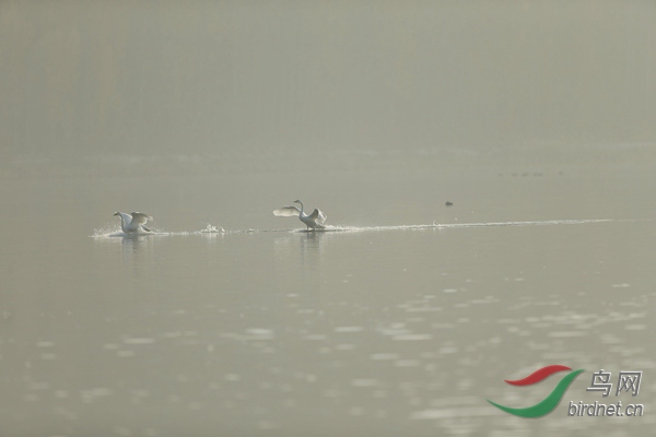 _E8J0636.jpg