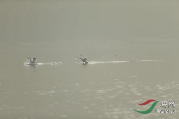 _E8J0635.jpg
