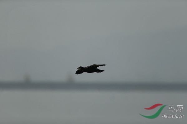 _E8J0645.jpg