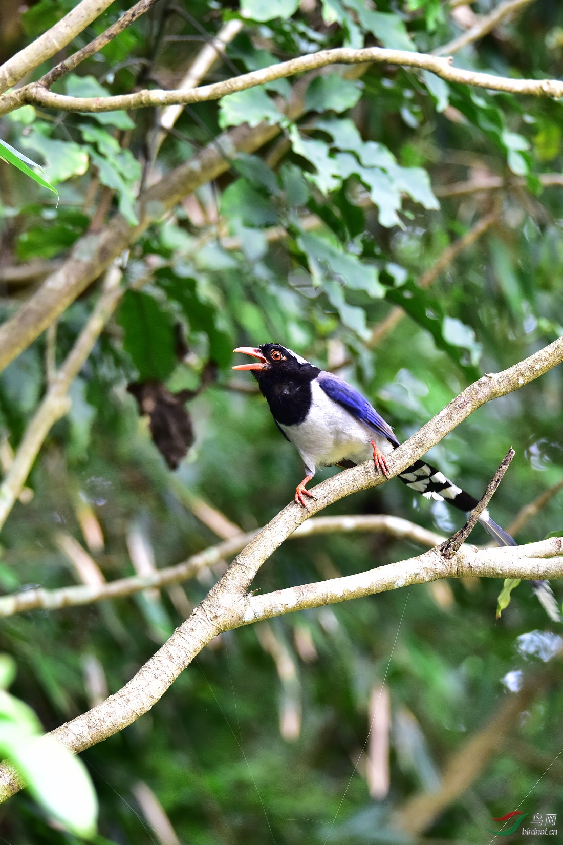 DSC_0965.JPG