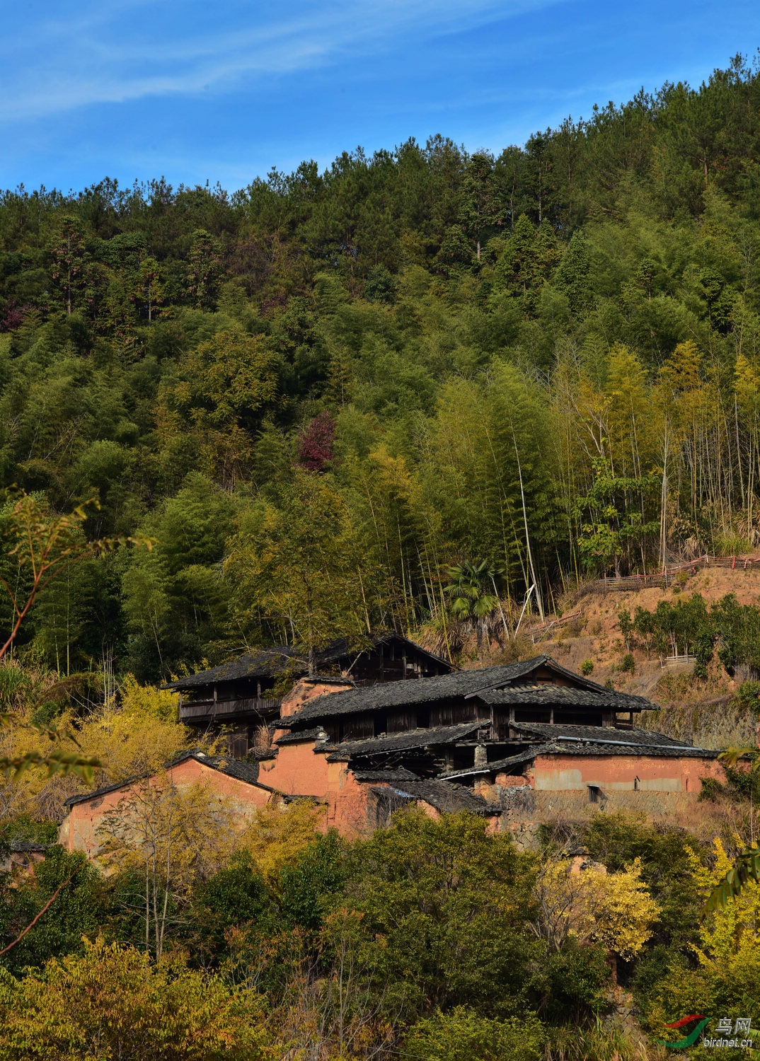闽北山区的老家