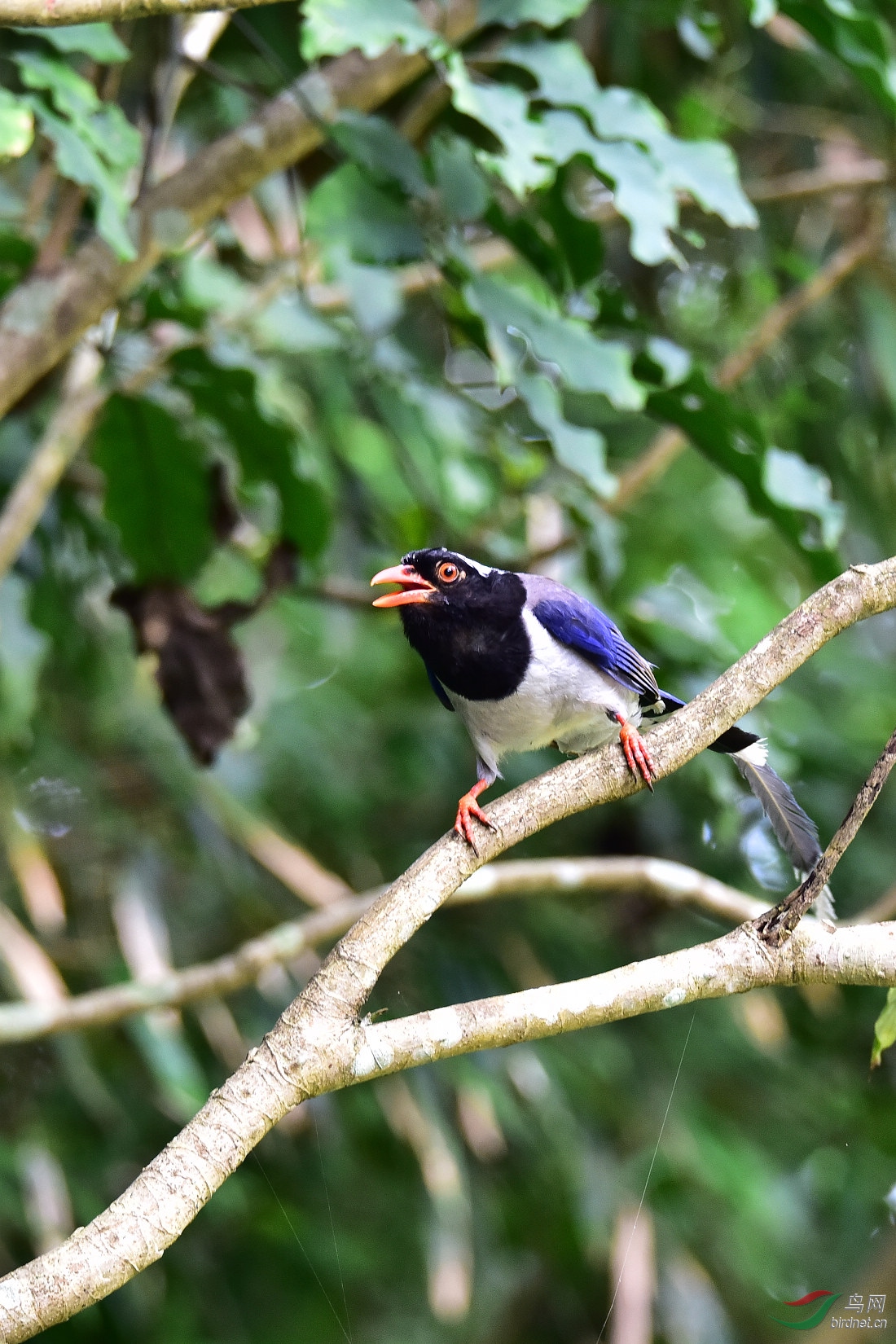 DSC_0969.JPG