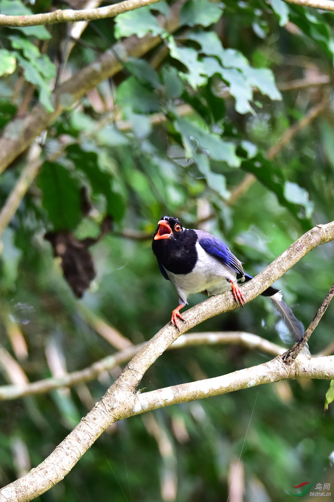 DSC_0970.JPG