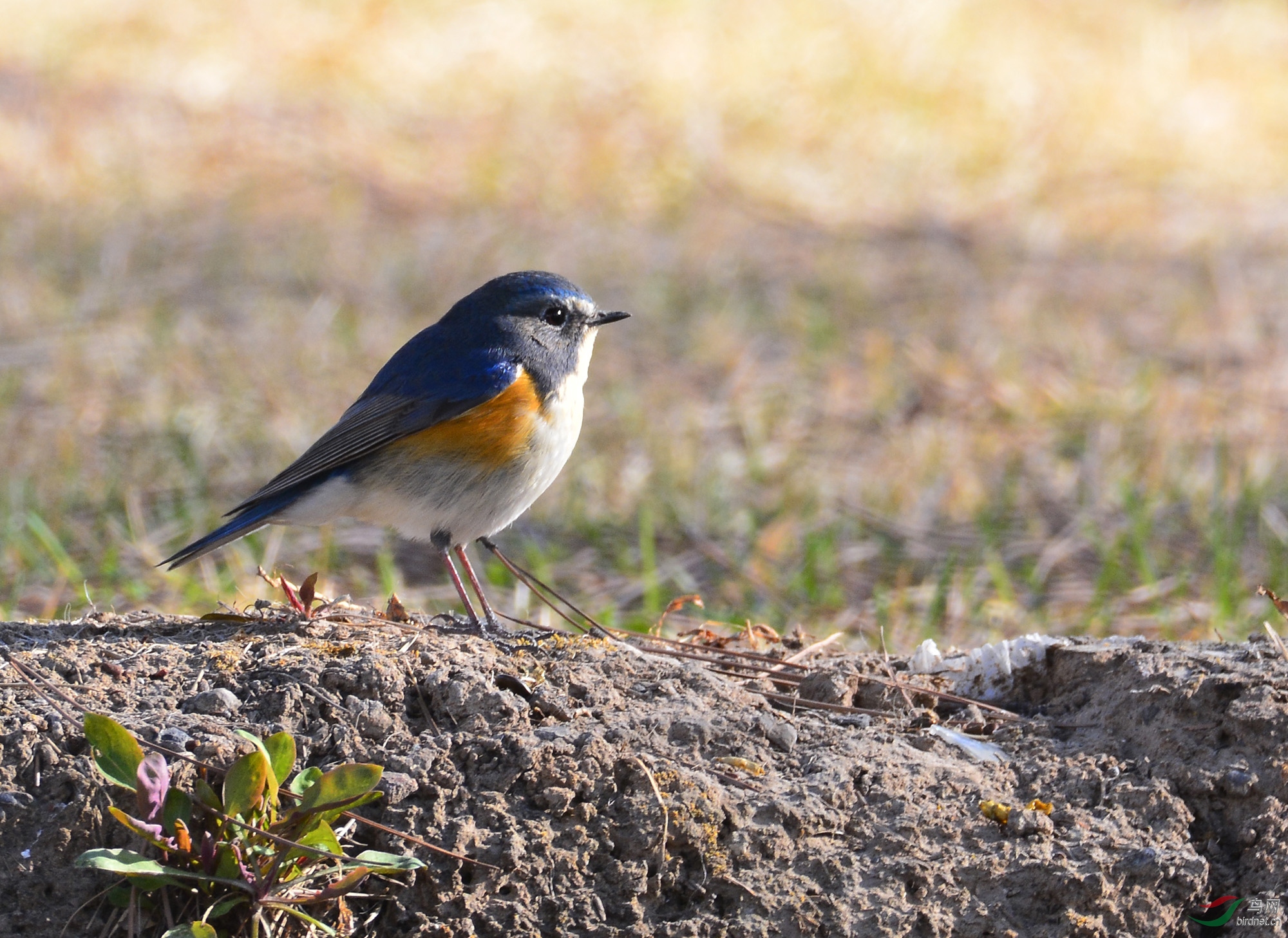 ������Ӱ 428����.jpg