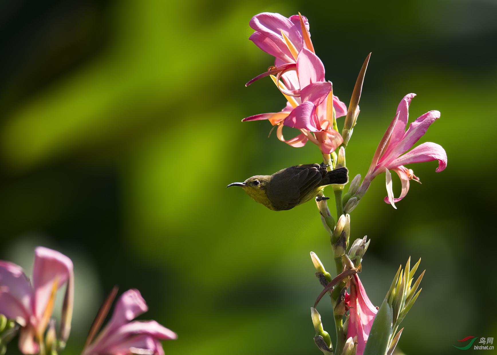 DSC_7804.jpg