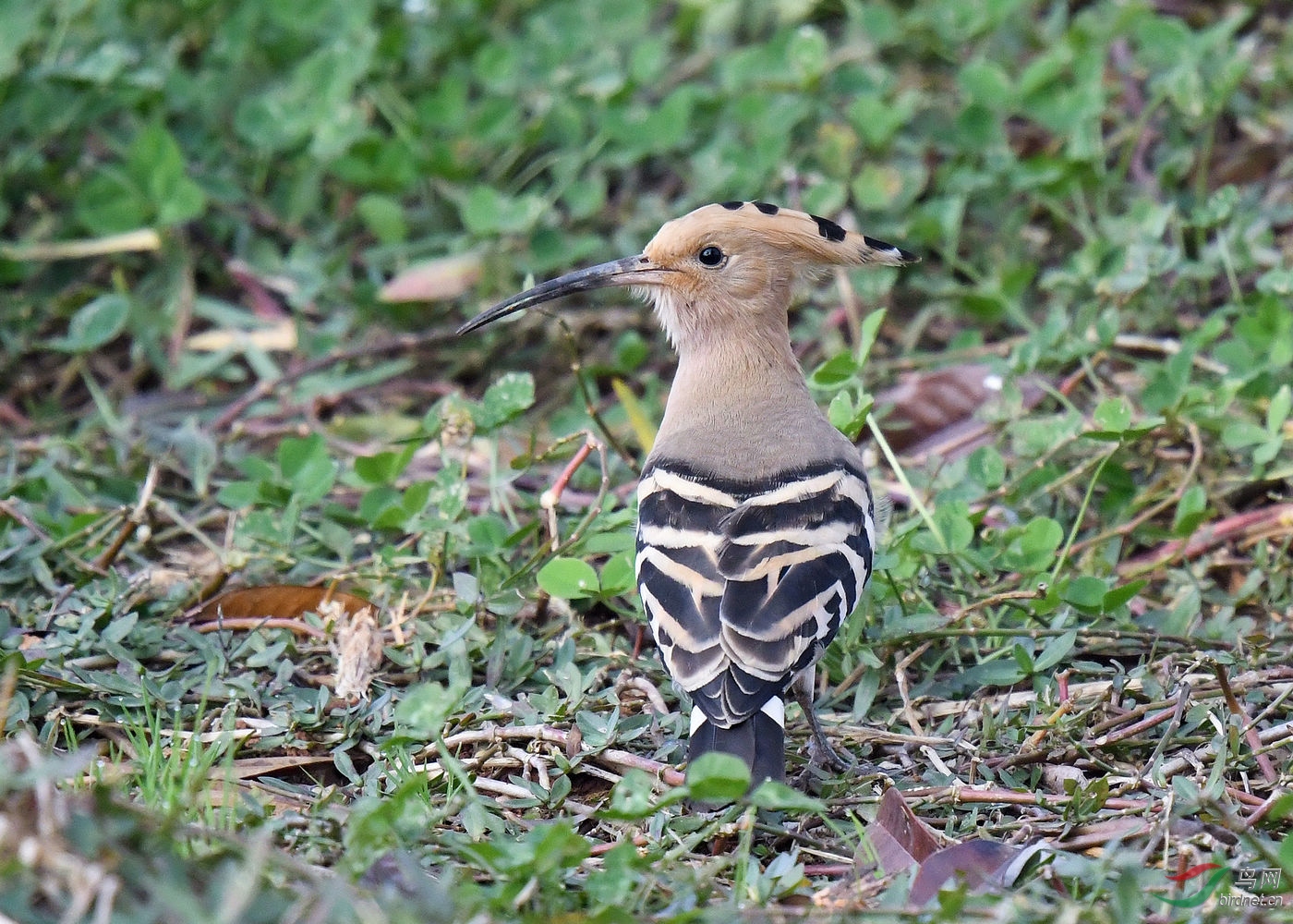 DSC_9388.jpg