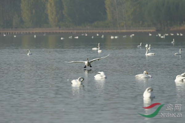 _E8J1085.jpg