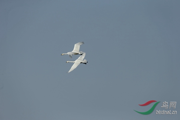 _E8J1113.jpg