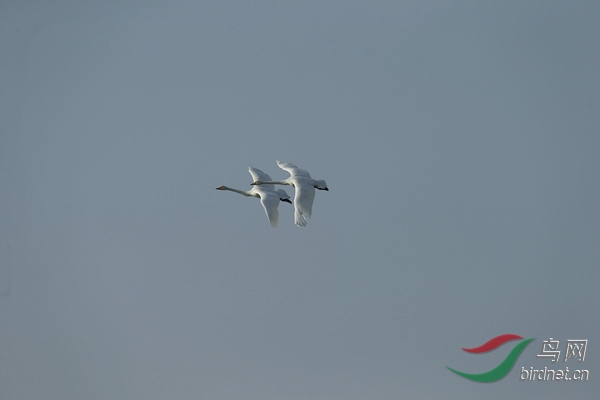 _E8J1118.jpg