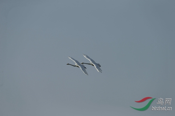 _E8J1121.jpg