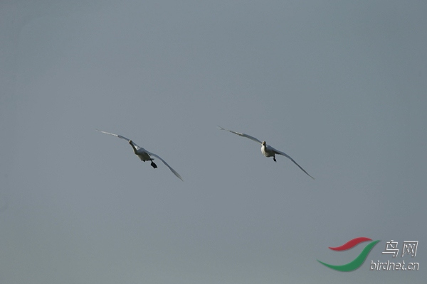 _E8J1125.jpg