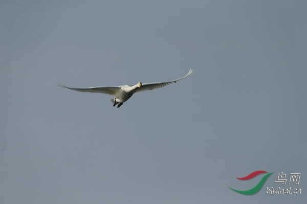 _E8J1129.jpg