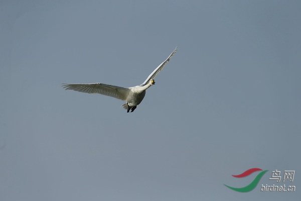 _E8J1132.jpg