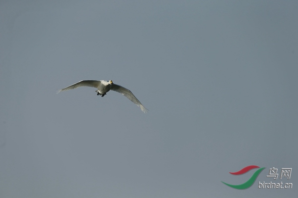 _E8J1128.jpg