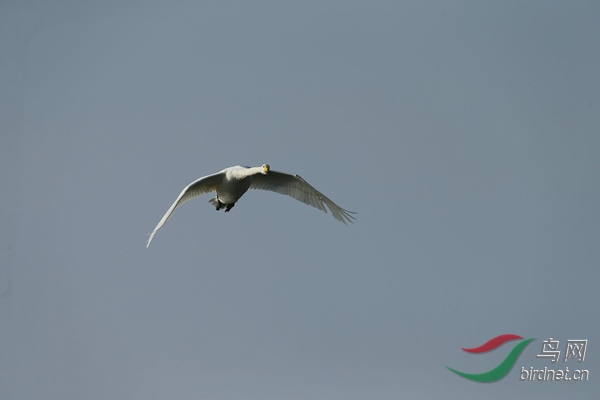 _E8J1130.jpg