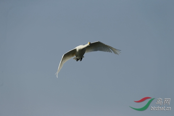 _E8J1134.jpg