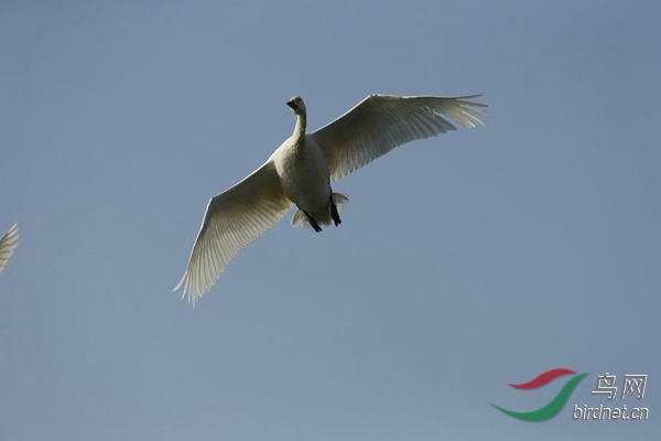 _E8J1139.jpg