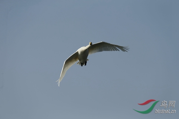 _E8J1137.jpg