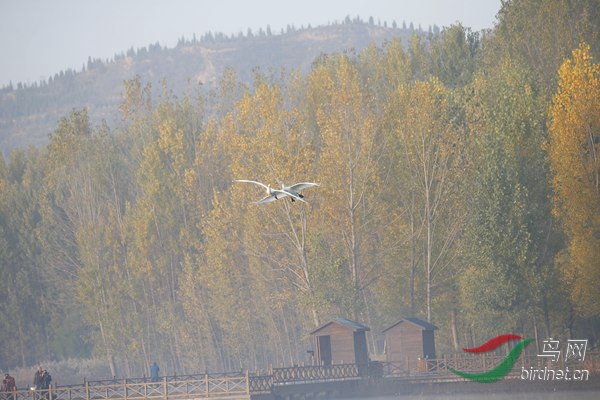 _E8J0335.jpg