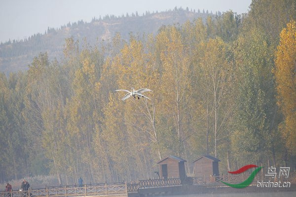 _E8J0336.jpg
