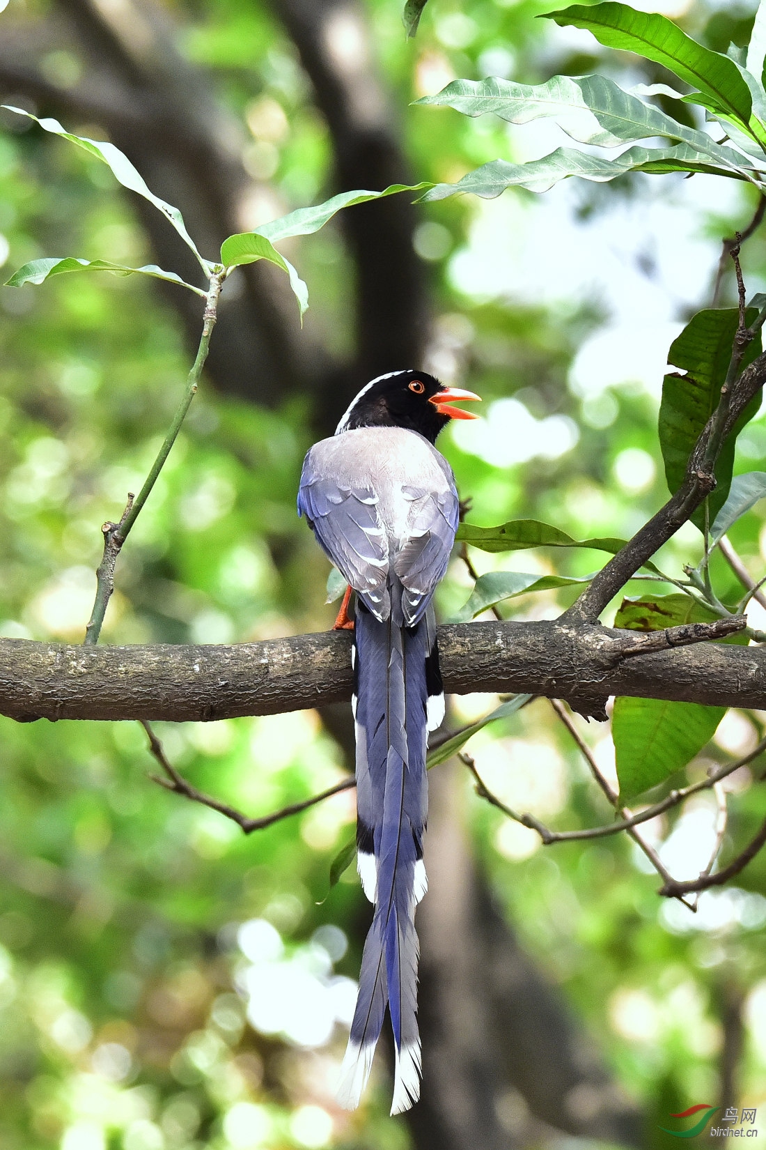 DSC_0973.JPG