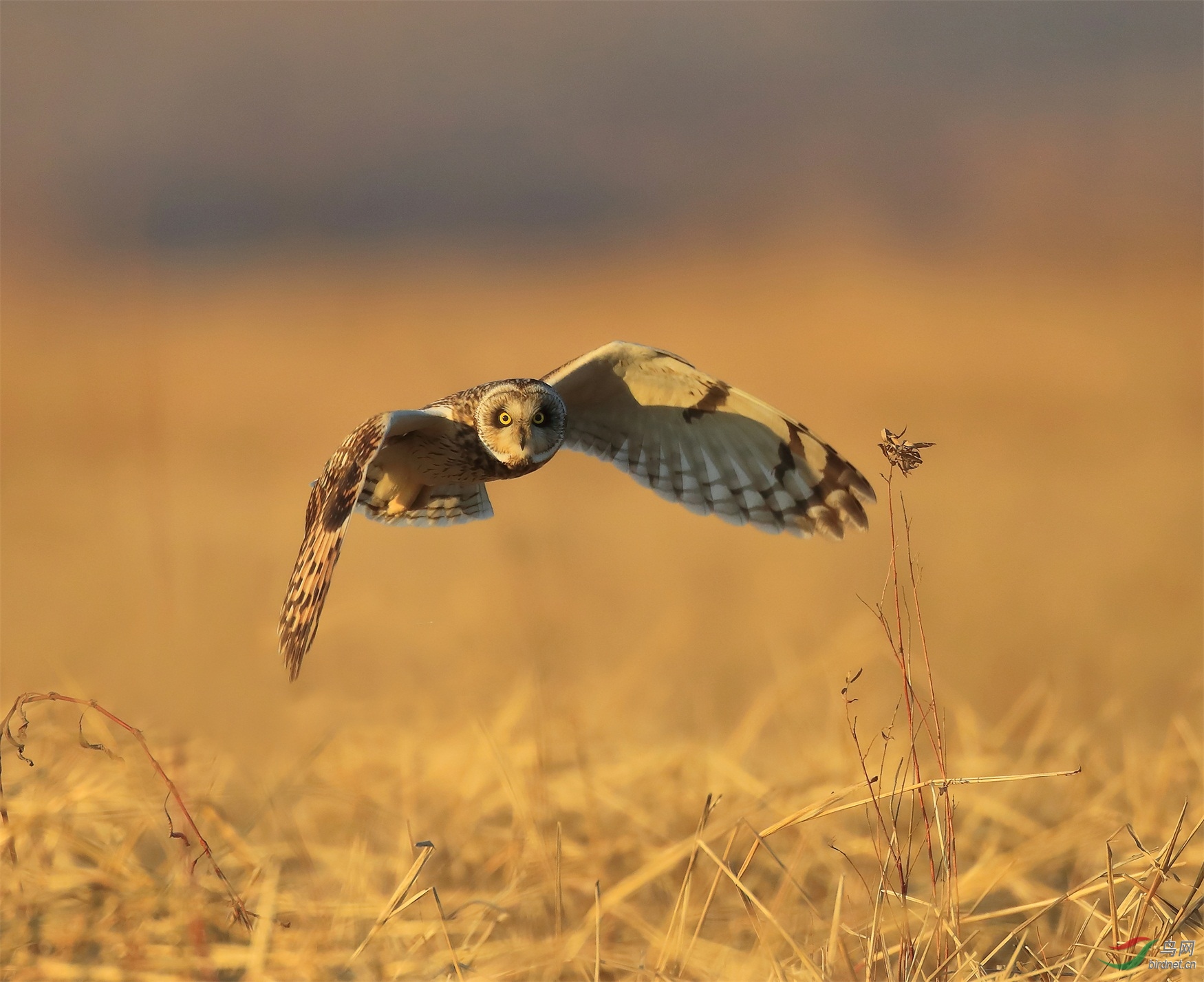 258 - ����.JPG