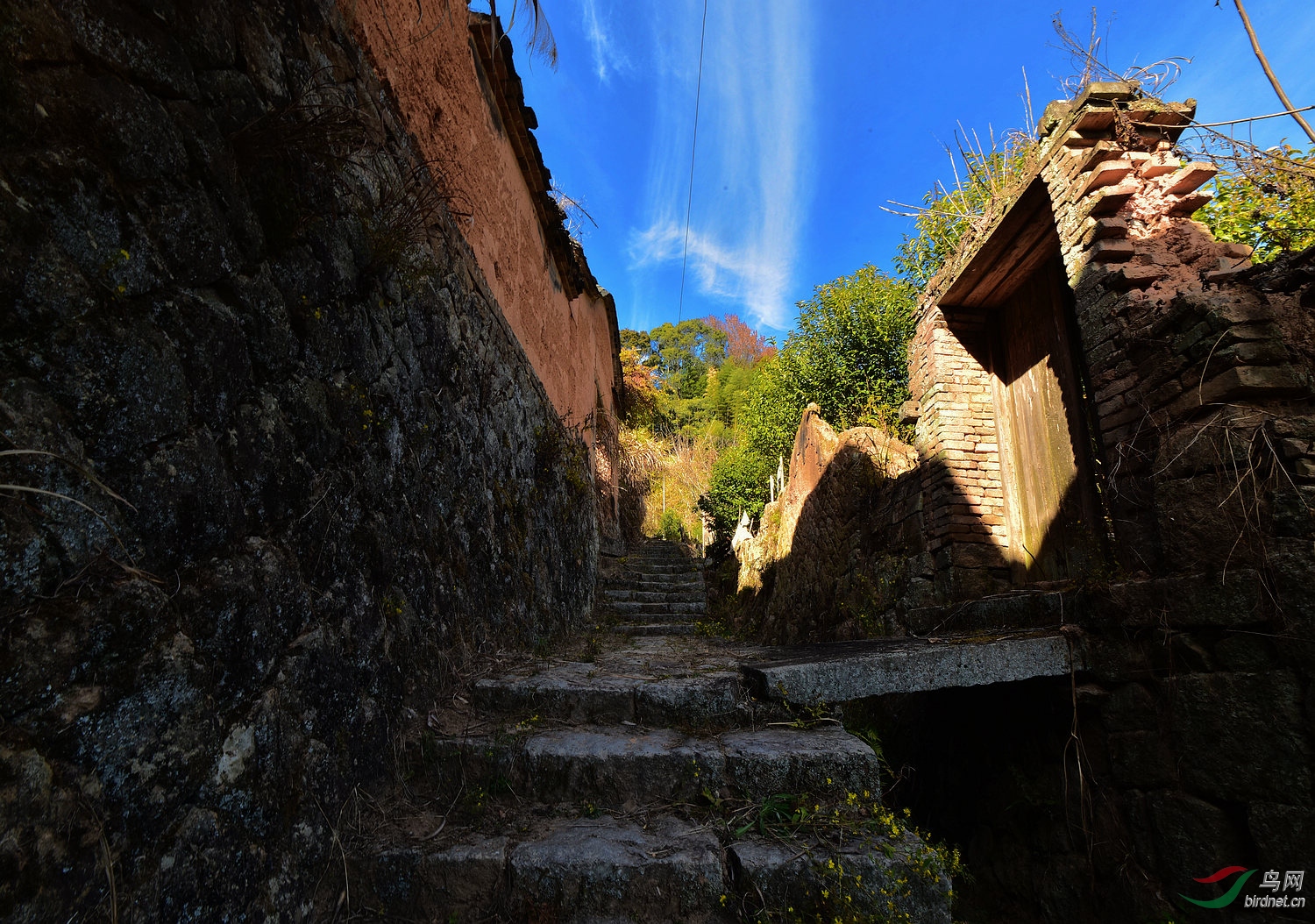D8I_4365.jpg