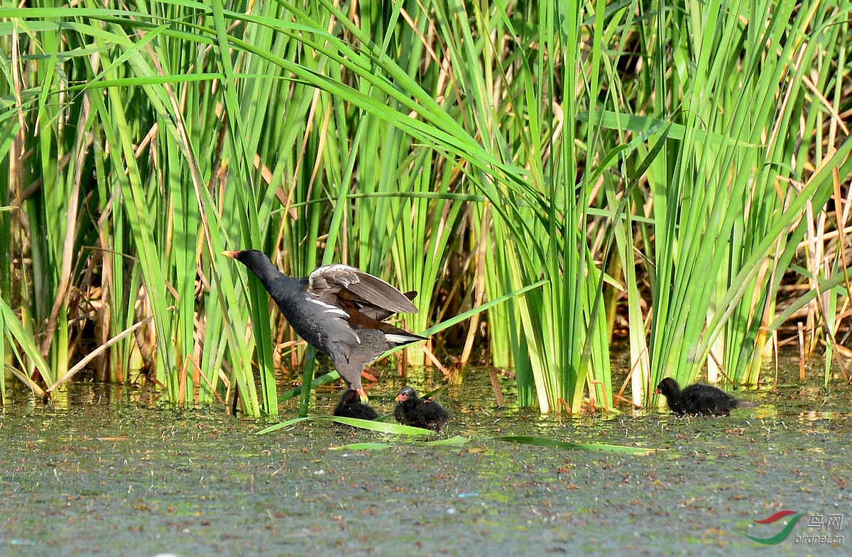 DSC_5416.JPG